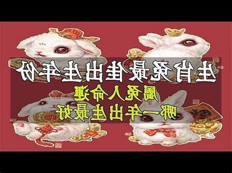 水兔|水兔年是哪些年份 水兔命运怎么样